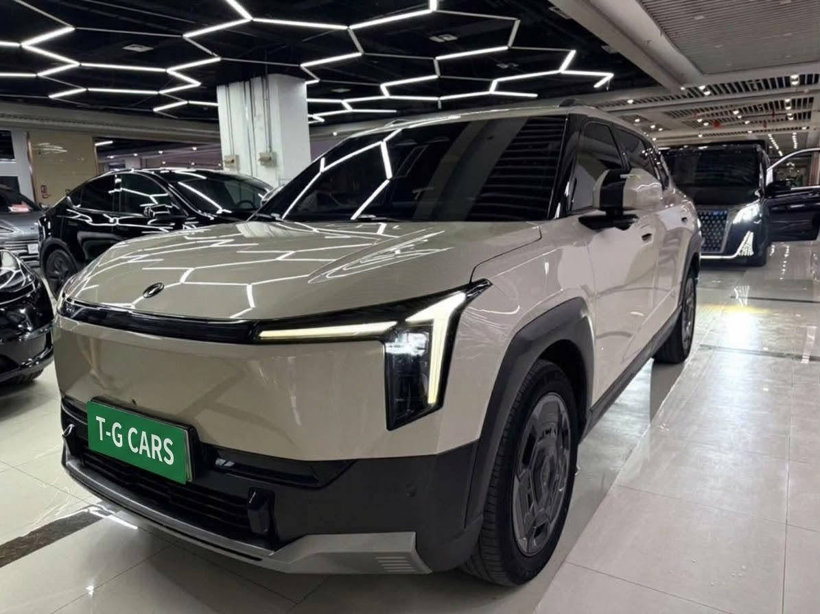2025 Dongfeng Nammi 06 Premium version