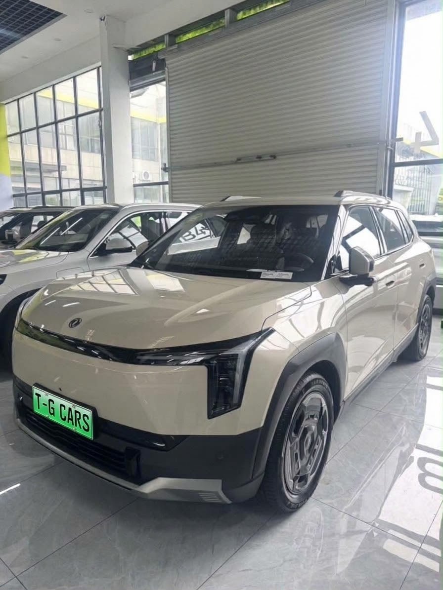 2025 Dongfeng Nammi 06 Premium version — photo 3