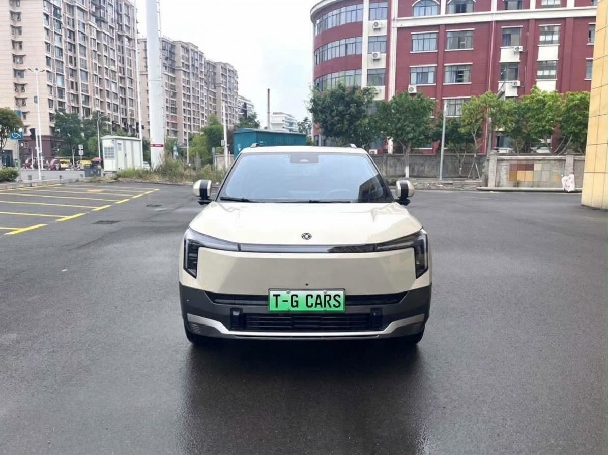 2025 Dongfeng Nammi 06 Premium version — photo 2