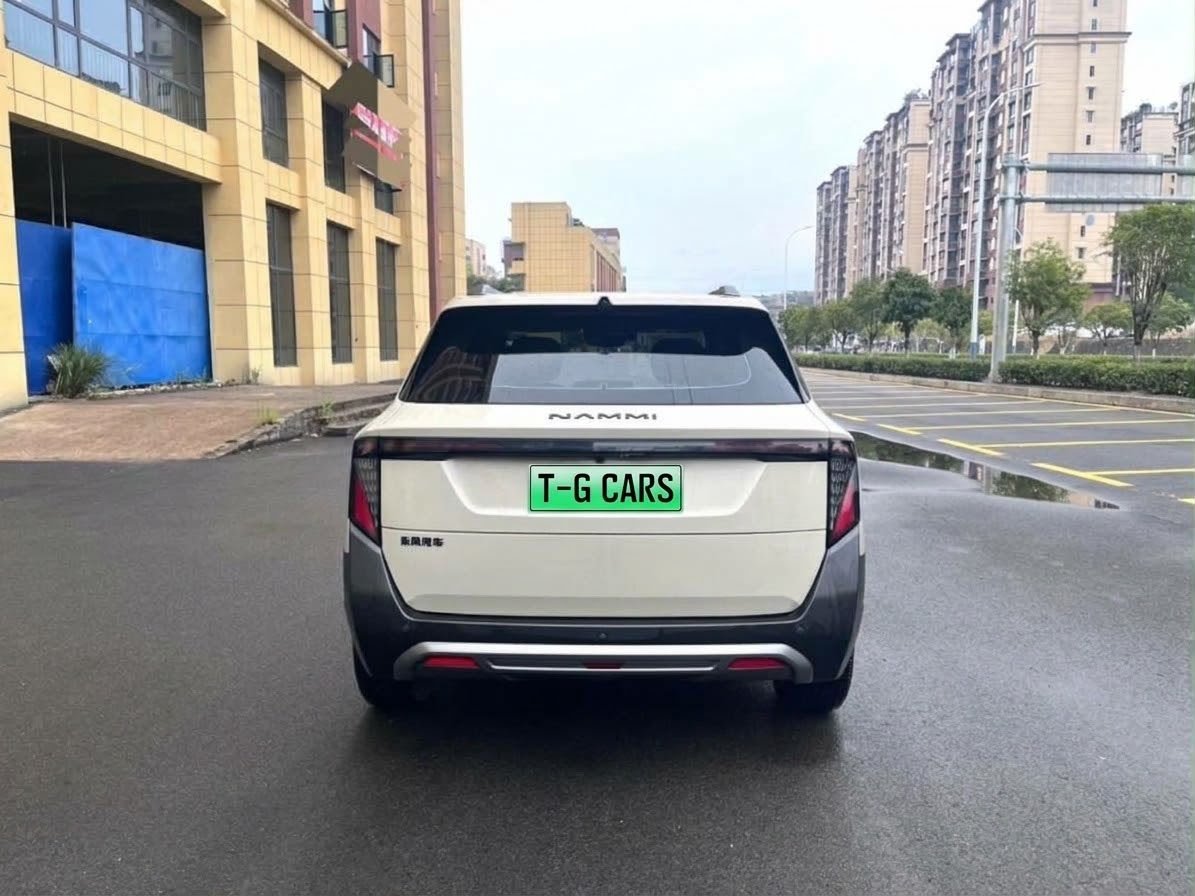 2025 Dongfeng Nammi 06 Premium version — photo 4