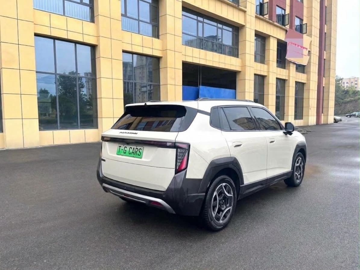 2025 Dongfeng Nammi 06 Premium version — photo 5